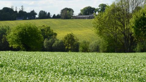Le guide pratique est composé de 16 fiches techniques, chacune correspond aux 16 exigences de la certification environnementale de niveau 2. © P. MONTIGNY